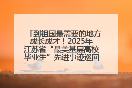 到祖国最需要的地方成长成才！2025年江苏省“最美基层高校毕业生”先进事迹巡回宣讲会在宁启动