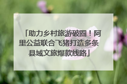 助力乡村旅游破圈！阿里公益联合飞猪打造多条县域文旅爆款线路
