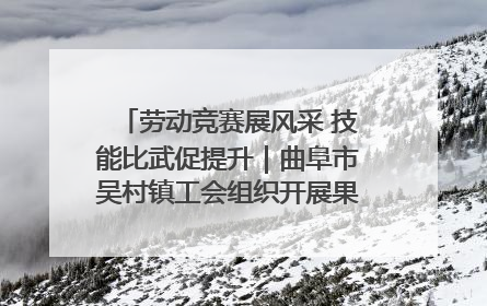 劳动竞赛展风采 技能比武促提升｜曲阜市吴村镇工会组织开展果树套袋技能竞赛