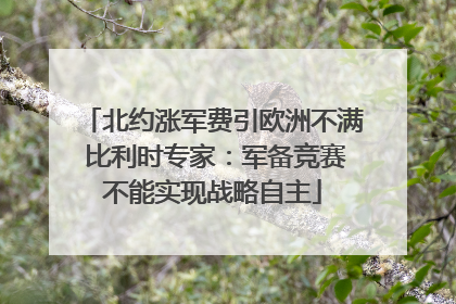 北约涨军费引欧洲不满 比利时专家：军备竞赛不能实现战略自主