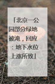 北京一公园部分绿地被淹，回应：地下水位上涨所致