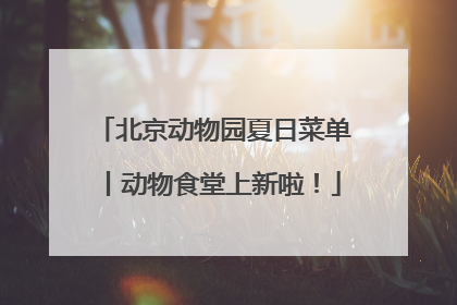 北京动物园夏日菜单丨动物食堂上新啦！