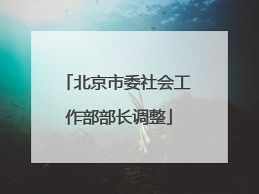 北京市委社会工作部部长调整