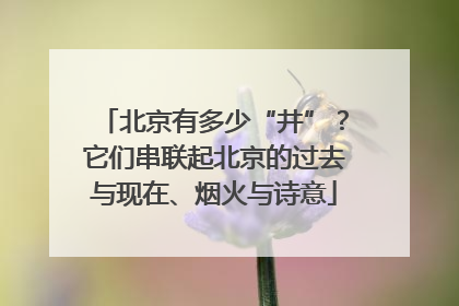 北京有多少“井”？它们串联起北京的过去与现在、烟火与诗意