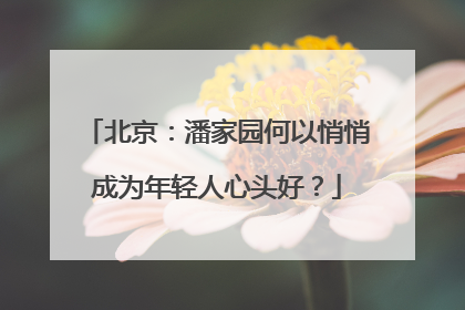 北京：潘家园何以悄悄成为年轻人心头好？