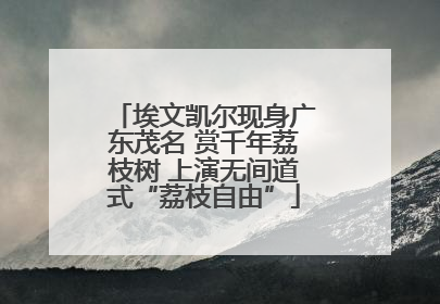 埃文凯尔现身广东茂名 赏千年荔枝树 上演无间道式“荔枝自由”