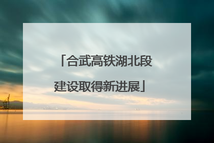 合武高铁湖北段建设取得新进展