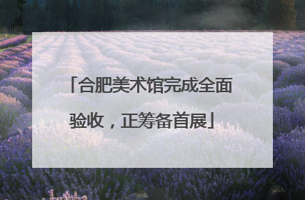 合肥美术馆完成全面验收，正筹备首展