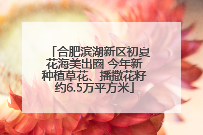 合肥滨湖新区初夏花海美出圈 今年新种植草花、播撒花籽约6.5万平方米