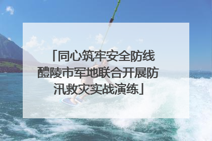 同心筑牢安全防线 醴陵市军地联合开展防汛救灾实战演练