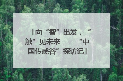 向“智”出发，“触”见未来——“中国传感谷”探访记