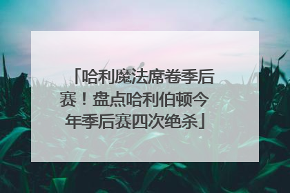 哈利魔法席卷季后赛！盘点哈利伯顿今年季后赛四次绝杀