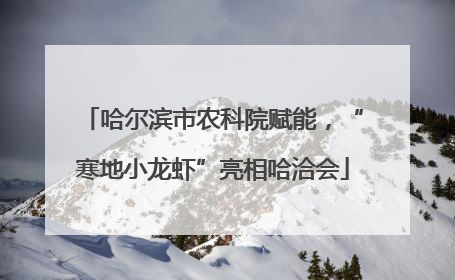 哈尔滨市农科院赋能，“寒地小龙虾”亮相哈洽会