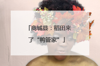 商城县：稻田来了“鸭管家”