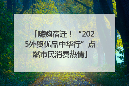嗨购宿迁！“2025外贸优品中华行”点燃市民消费热情