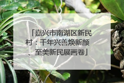 嘉兴市南湖区新民村：千年兴善焕新颜、至美新民展画卷
