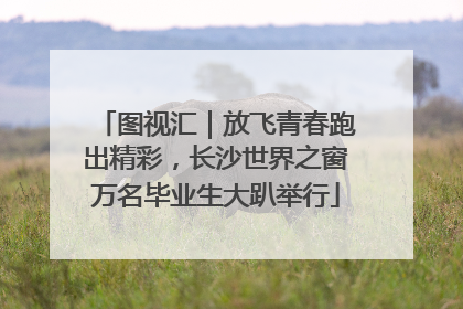 图视汇｜放飞青春跑出精彩，长沙世界之窗万名毕业生大趴举行