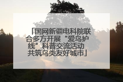 国网新疆电科院联合多方开展“爱鸟护线”科普交流活动 共筑鸟类友好城市