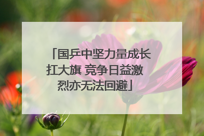 国乒中坚力量成长扛大旗 竞争日益激烈亦无法回避