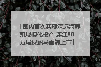 国内首次实现深远海养殖规模化投产 连江80万尾绿鳍马面鲀上市