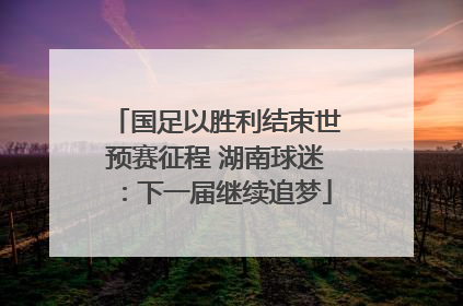 国足以胜利结束世预赛征程 湖南球迷：下一届继续追梦