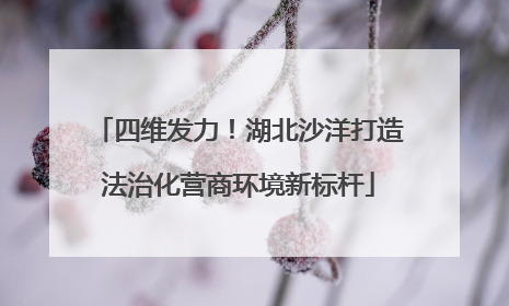 四维发力！湖北沙洋打造法治化营商环境新标杆
