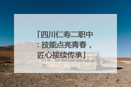 四川仁寿二职中：技能点亮青春，匠心接续传承