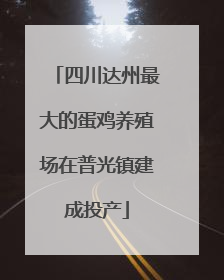 四川达州最大的蛋鸡养殖场在普光镇建成投产