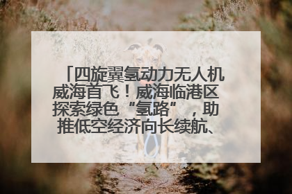 四旋翼氢动力无人机威海首飞！威海临港区探索绿色“氢路”，助推低空经济向长续航、大载重“进化”