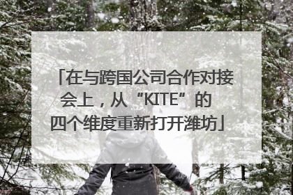 在与跨国公司合作对接会上，从“KITE”的四个维度重新打开潍坊