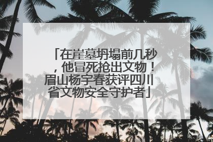 在崖墓坍塌前几秒，他冒死抢出文物！眉山杨宇春获评四川省文物安全守护者