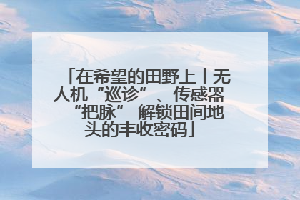 在希望的田野上丨无人机“巡诊”、传感器“把脉” 解锁田间地头的丰收密码