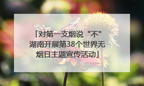 对第一支烟说“不” 湖南开展第38个世界无烟日主题宣传活动
