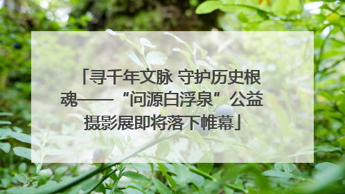 寻千年文脉 守护历史根魂——“问源白浮泉”公益摄影展即将落下帷幕
