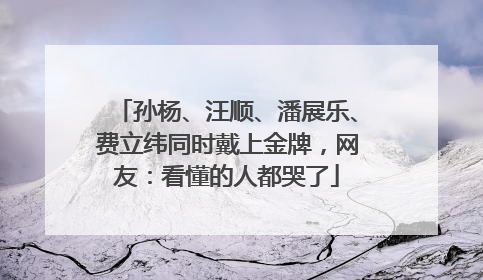 孙杨、汪顺、潘展乐、费立纬同时戴上金牌，网友：看懂的人都哭了