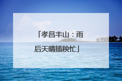 孝昌丰山：雨后天晴插秧忙