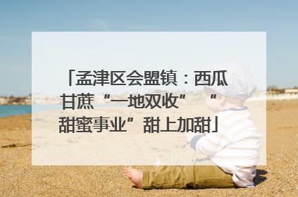 孟津区会盟镇：西瓜甘蔗“一地双收” “甜蜜事业”甜上加甜
