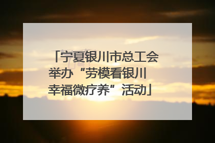 宁夏银川市总工会举办“劳模看银川 幸福微疗养”活动