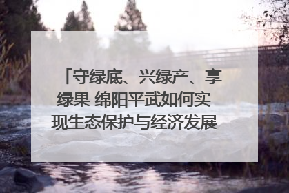 守绿底、兴绿产、享绿果 绵阳平武如何实现生态保护与经济发展双赢？｜新闻发布最前线·深一度