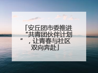 安丘团市委推进“共青团伙伴计划”，让青春与社区双向奔赴