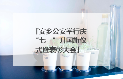 安乡公安举行庆“七一”升国旗仪式暨表彰大会