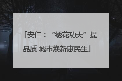 安仁：“绣花功夫”提品质 城市焕新惠民生