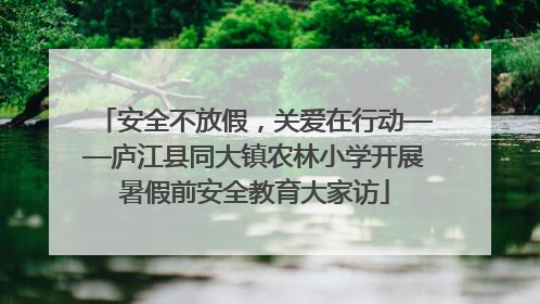 安全不放假，关爱在行动——庐江县同大镇农林小学开展暑假前安全教育大家访