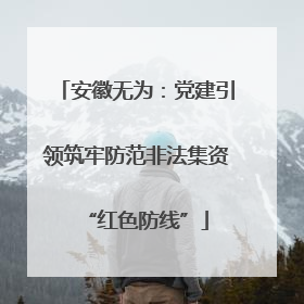 安徽无为：党建引领筑牢防范非法集资“红色防线”