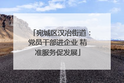 宛城区汉冶街道：党员干部进企业 精准服务促发展