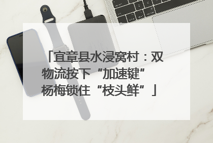 宜章县水浸窝村：双物流按下“加速键” 杨梅锁住“枝头鲜”