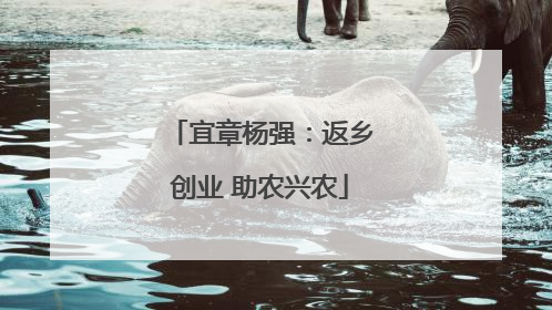 宜章杨强：返乡创业 助农兴农
