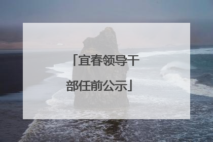 宜春领导干部任前公示