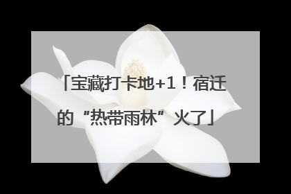 宝藏打卡地+1！宿迁的“热带雨林”火了