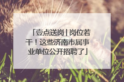 壹点送岗│岗位若干！这些济南市属事业单位公开招聘了